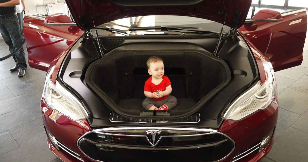 Tesla Babies Program